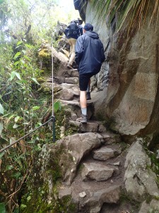 Up the slippery, slim, sketchy, stone steps to Huayna Picchu (I'm in the mood for alliteration).