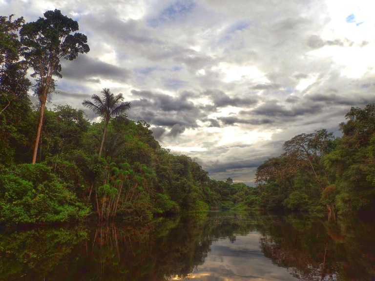Cuyabeno river, Amazon Rainforest, Ecuador